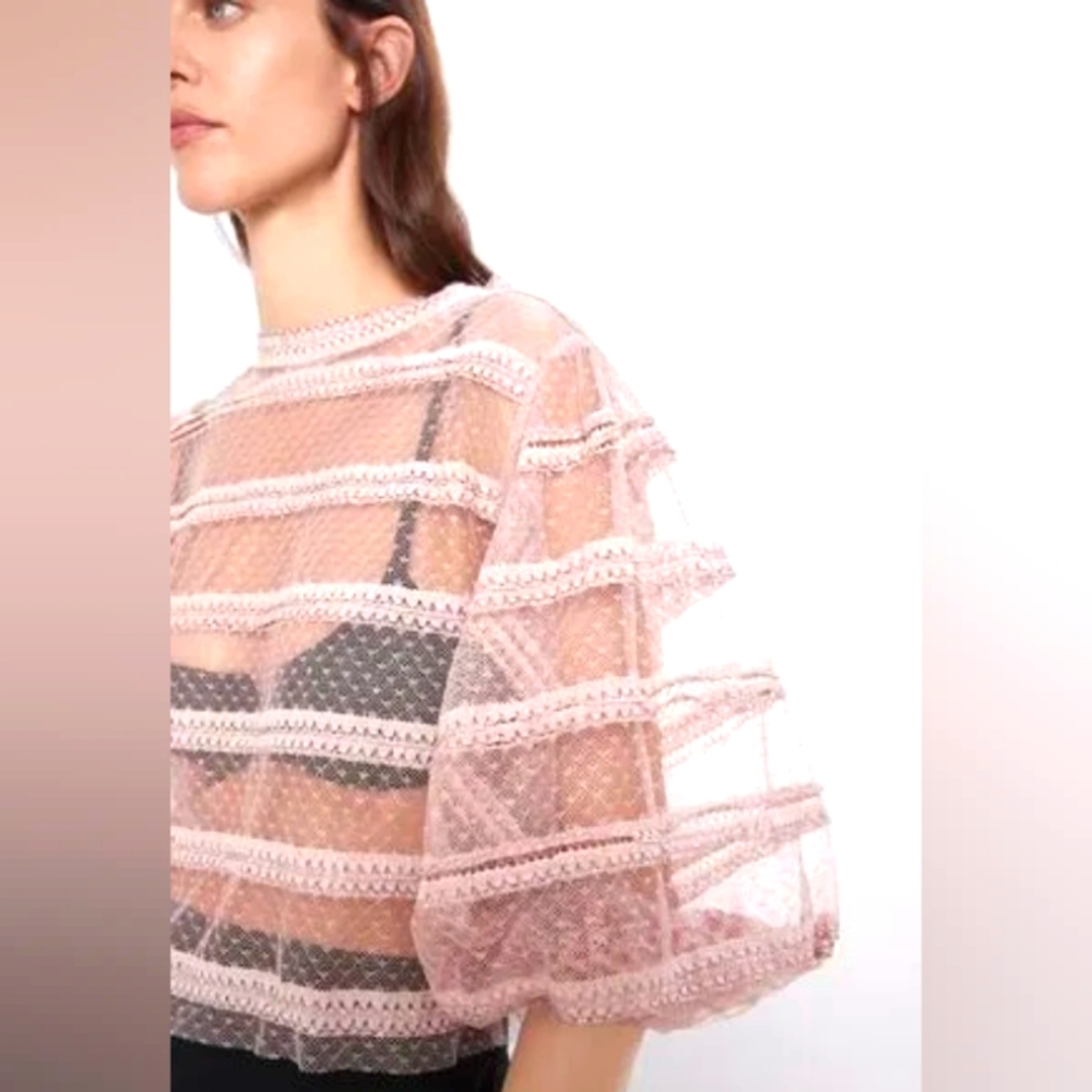 ZARA Semi-Sheer Knit Top